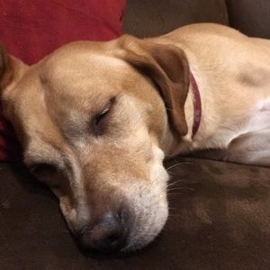 Meet your Posher, Denise